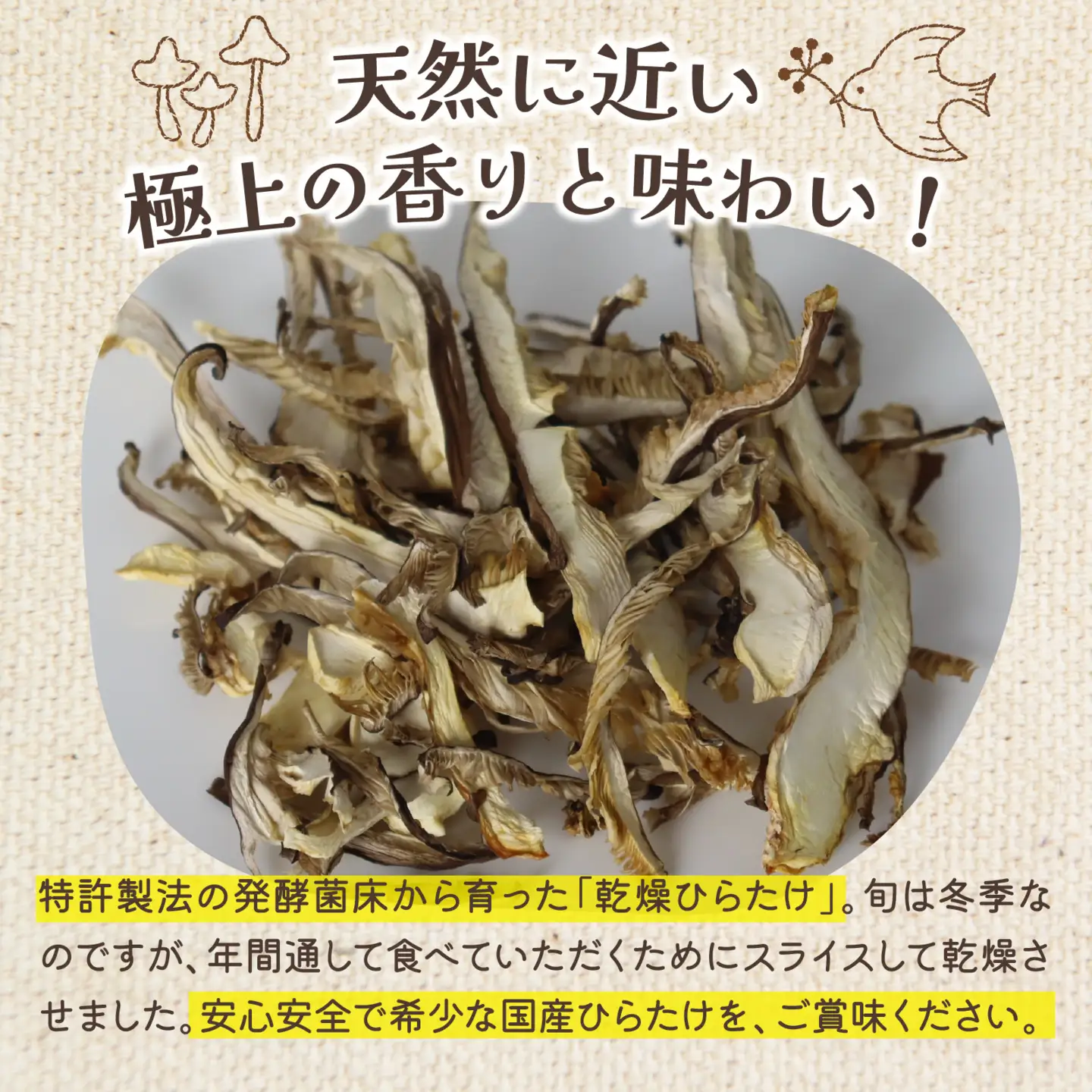 灰猫のひらたけ（乾燥）