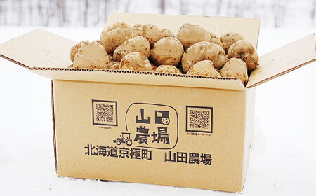 【訳あり】北海道産 じゃがいも 男爵 M～2Lサイズ混載 約10kg 1箱 山田農場 ジャガイモ 芋 いも イモ 訳アリ わけあり ワケアリ 国産 【2026年9月下旬-2027年1月上旬迄発送予定】