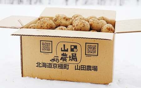 【訳あり】北海道産 じゃがいも キタアカリ M～2Lサイズ混載 約20kg 1箱 山田農場 ジャガイモ 芋 いも イモ 訳アリ わけあり ワケアリ 国産 【2026年9月下旬-2027年1月上旬迄発送予定】