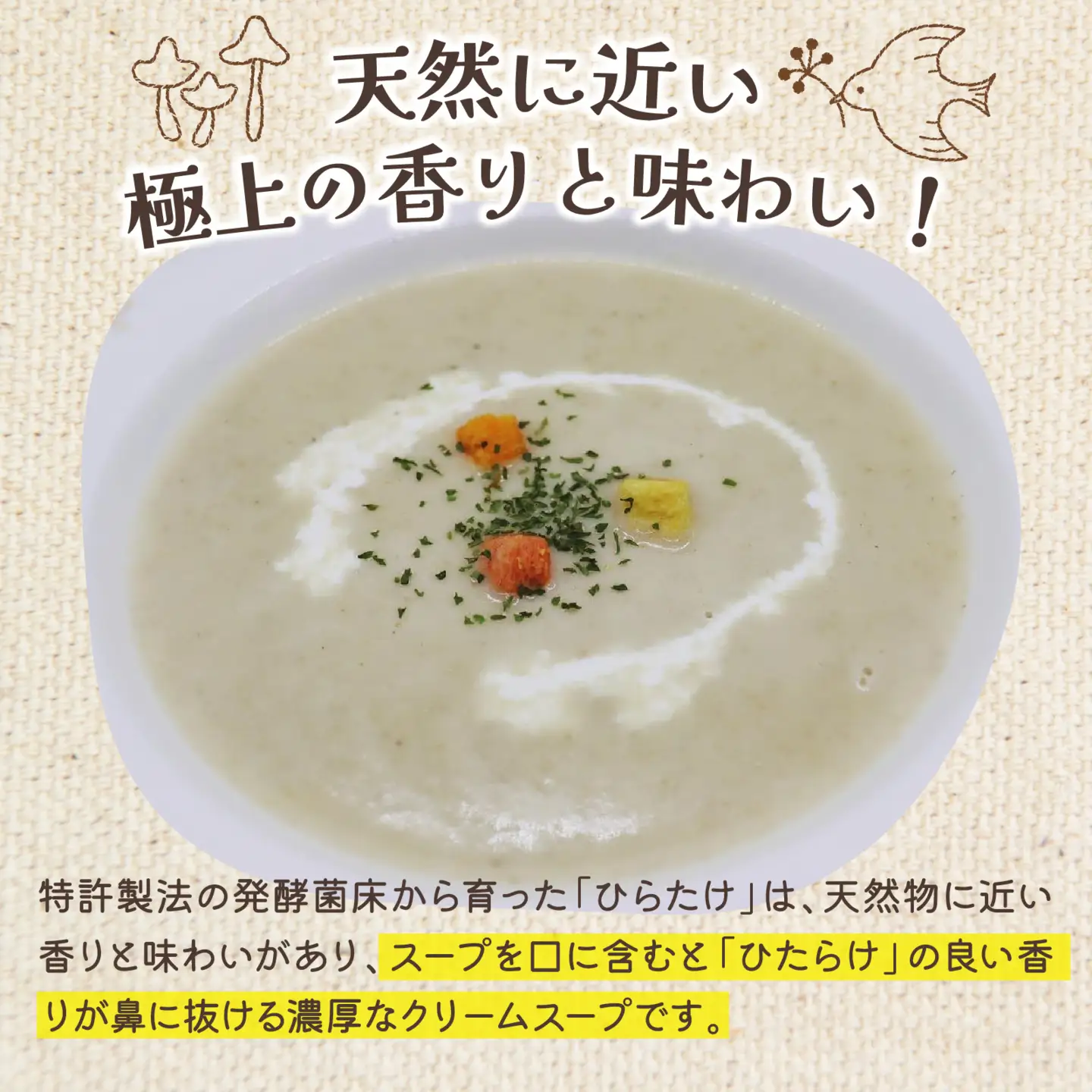 灰猫のひらたけクリームスープ 5箱 | 国産 食物繊維 ひらたけ 平茸 クリーム 濃厚