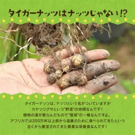 タイガーナッツ グラノーラ(カカオ＆バナナ) 5袋【1579208】