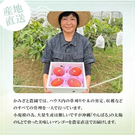 【2027年6月下旬から順次発送】かみざと農園の贈答用アップルマンゴー2kg【配送不可地域：離島】【1601772】