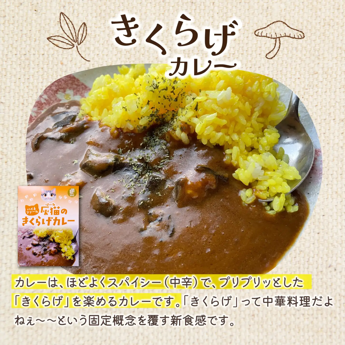 灰猫のきくらげカレー&ひらたけクリームスープのお試しセット