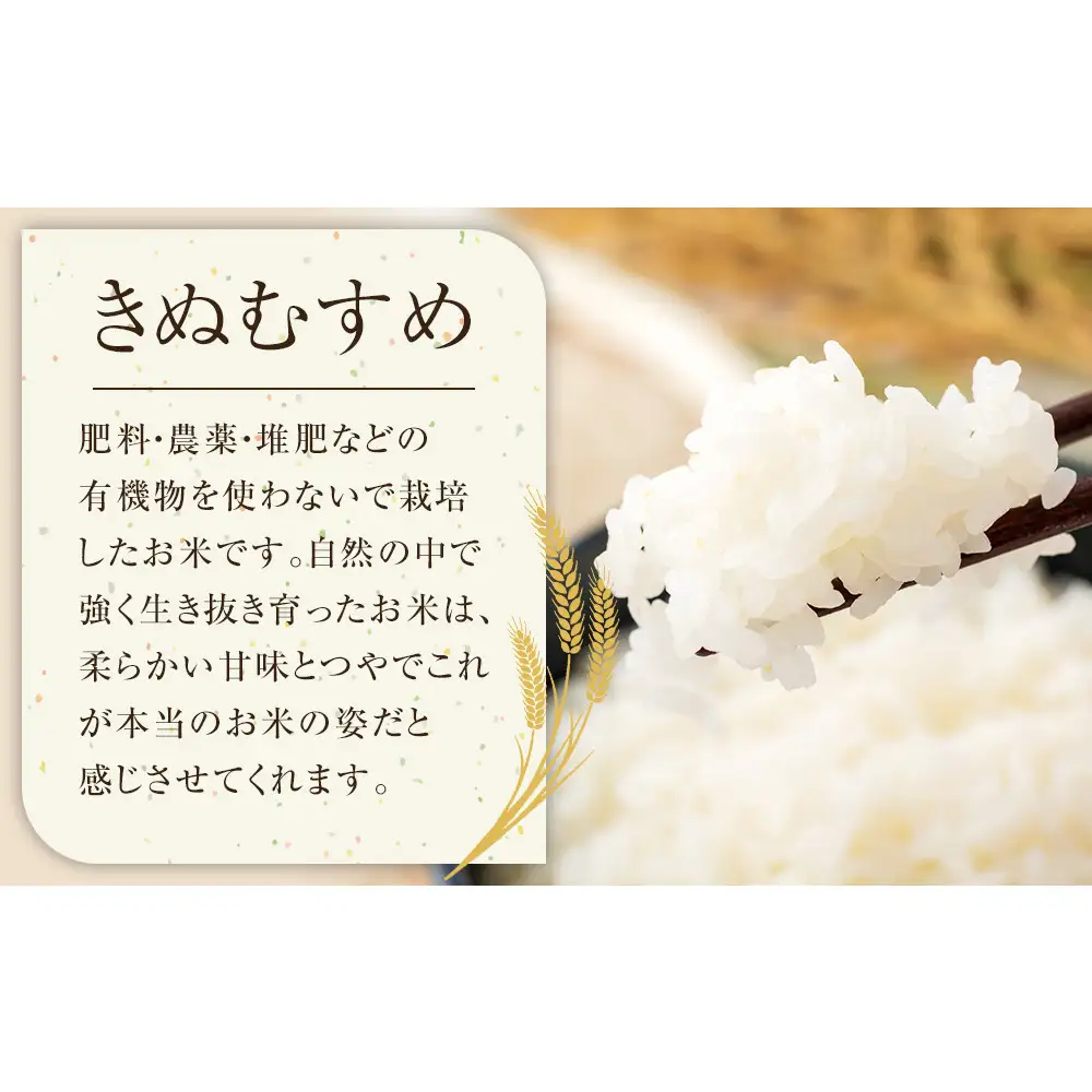 165.日置さん家の自然栽培 米 「 きぬむすめ 」精米　5kg×2袋 2026年産 | 米