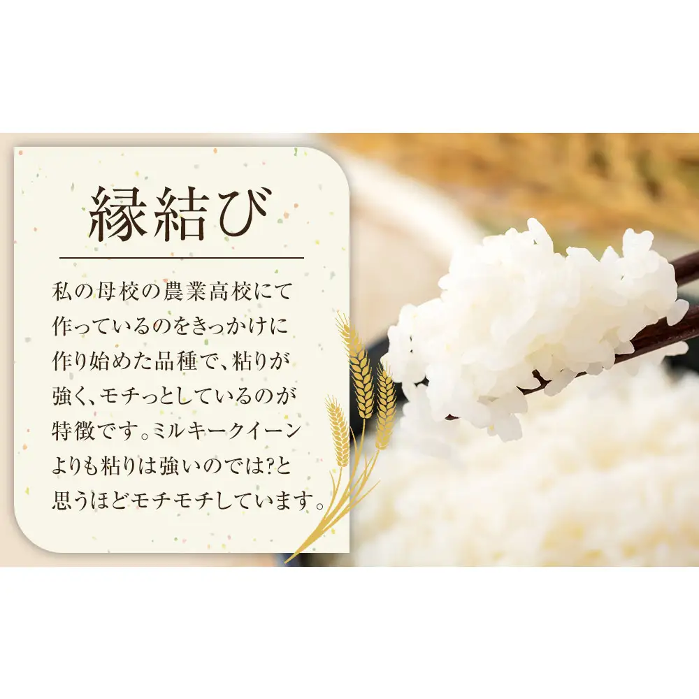 222.日置さん家のお 米 「 縁結び 」3kg×3袋【 精米 ・2026年産】 | 米
