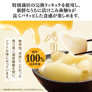 412.蜂蜜入りラッキョウ漬け　（ビン入り：400g×2本　袋入り：180g×2袋）　※2026年10月中旬～12月下旬頃に順次発送予定