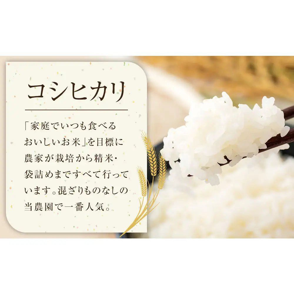 147.日置さん家のお 米 「 コシヒカリ 」5kg×2袋【精 米 ・2026年産】| コシヒカリ