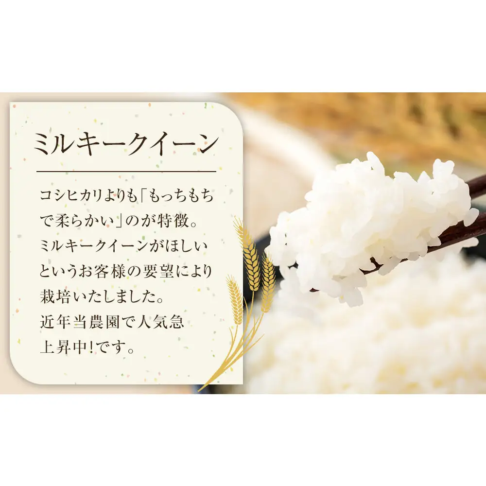189.日置さん家のお 米 「 ミルキークイーン」2kg×4袋【精米 ・2026年産】 | 米