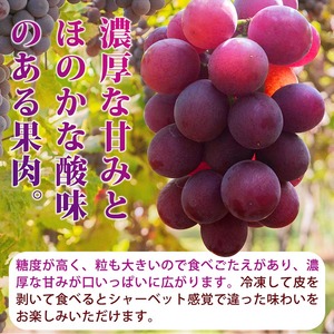 〈定期便〉【8・9・12月 全3回】紀州和歌山産旬のフルーツセット(種なし巨峰・シャイン・みかん) ※離島への配送不可