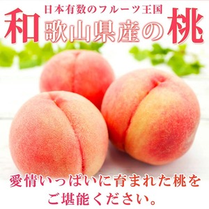 〈定期便〉【7・8・9月 全3回】紀州和歌山産旬のフルーツセット（桃・種なし巨峰・シャインマスカット）※離島への配送不可 ｜ フルーツ