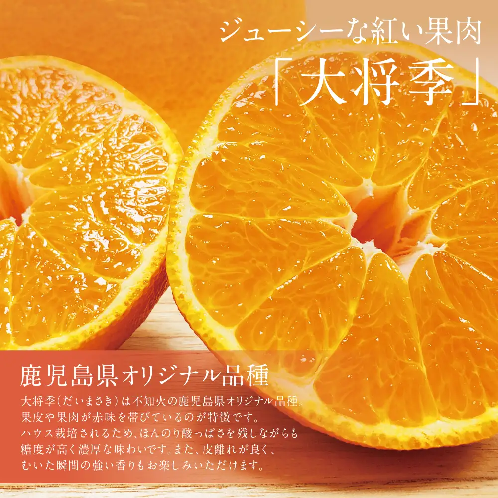 【2027年1月～3月発送】数量限定！不知火「大将季」（だいまさき）約3kg 果物 フルーツ 柑橘 みかん しらぬい 鹿児島県産