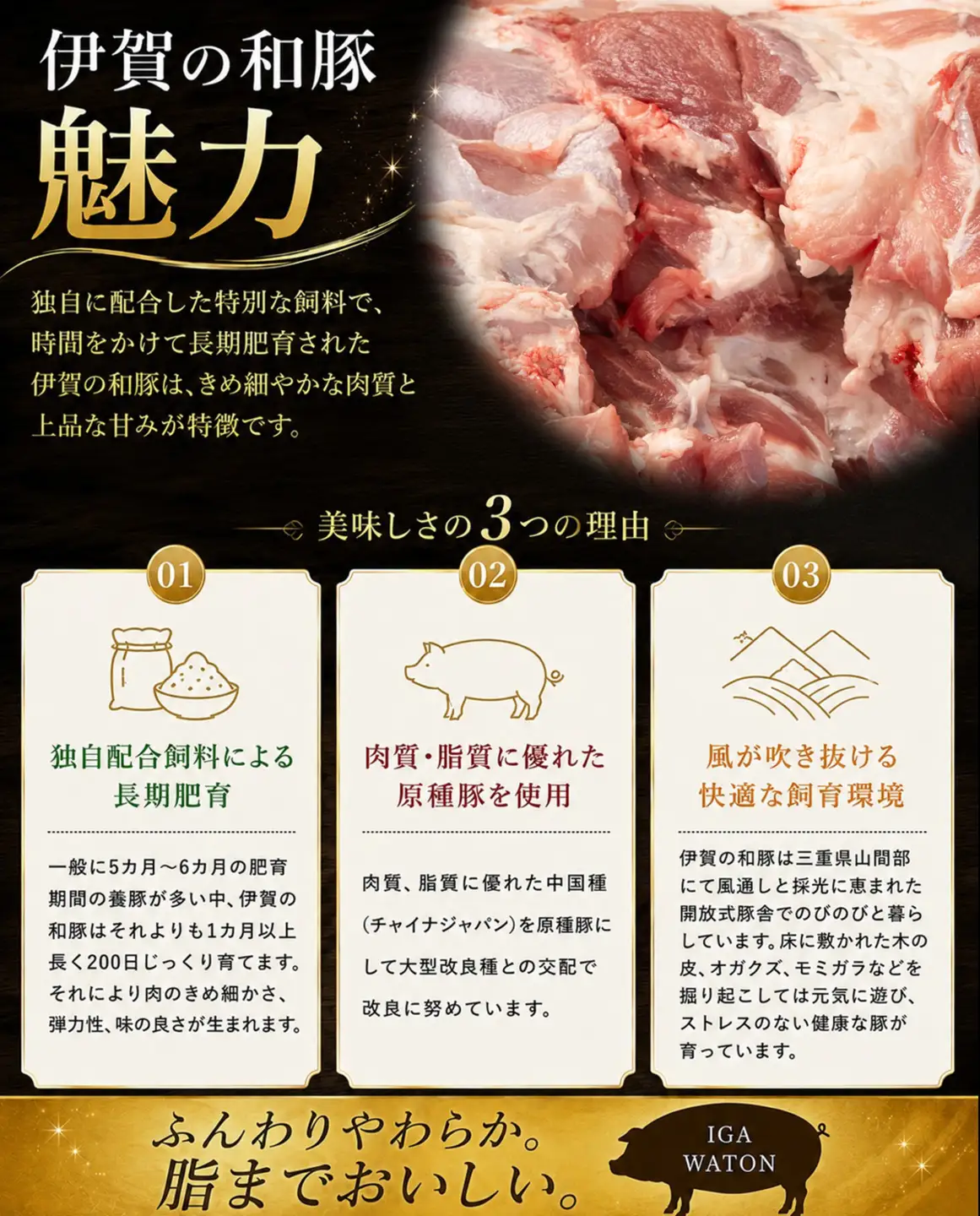 豚肉 〈訳あり・大容量〉和豚 ウデブロック 5kg 豚肉 [BW100-2511]