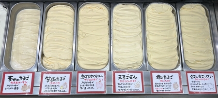 【ちゃたまや】卵屋さんのたまごジェラート 8種セット（北海道・沖縄県・離島発送不可）食べ比べ 詰め合わせ 長野県 信州 佐久市 冷たい スイーツ アイスクリーム 食べ比べ