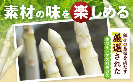 【先行予約】ホワイトアスパラガス約1kg（3～4月出荷）|アスパラ アスパラガス ホワイトアスパラガス 新鮮 素材の味 春野菜 直送 香川県 三木町|_mk002-001