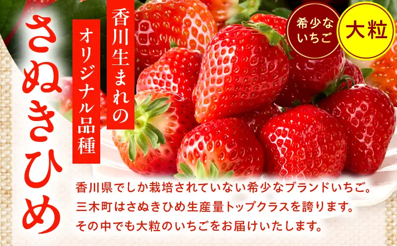 【先行予約】苺音ラグジュアリー～冬の大粒さぬきひめいちご～　約850g | スイーツ いちご イチゴ ストロベリー さぬきひめ さぬき姫 苺 冷蔵 フルーツ 旬 果物 香川県 デザート 青果物 おすすめ |_mk137-002