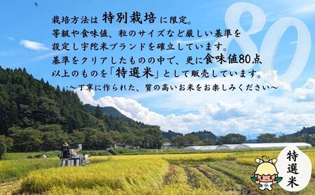 特別栽培 宇陀米ひとめぼれ 5kg【特選米】令和6年産／白米 米 お米 ひとめぼれ おいしい 奈良県 宇陀市 宇陀米ブランド化協議会 類農園 ふるさと納税