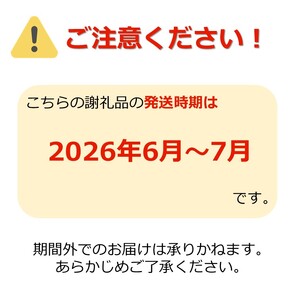 【2026年発送】【定期便2回】さくらんぼ約500g×2種_H176(R8)