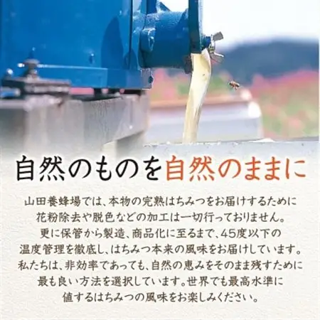 【お試しサイズ】アカシア蜂蜜(中国産)300g【配送不可地域：離島・北海道・沖縄県】【1607412】