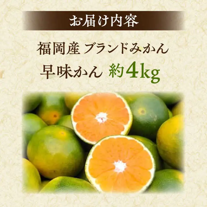 【2026年9月中旬より発送】福岡産ブランド みかん 早味かん 約4kg 桂川町/南国フルーツ株式会社 [ADBW023] 