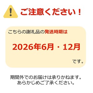 【2026年発送】【定期便2回】山形旬の果物2選（佐藤錦/りんご）_H181(R8)