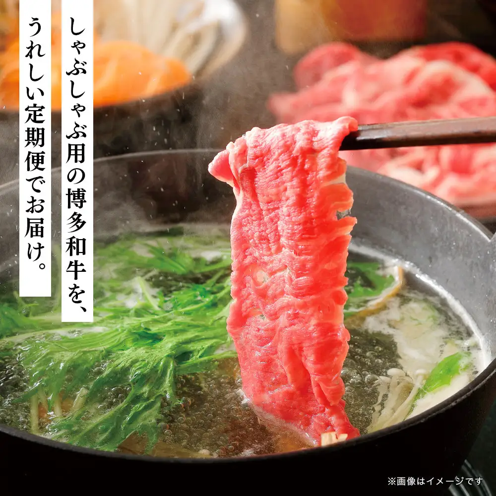 博多和牛 しゃぶしゃぶ 定期便全6回(約800g×6回)