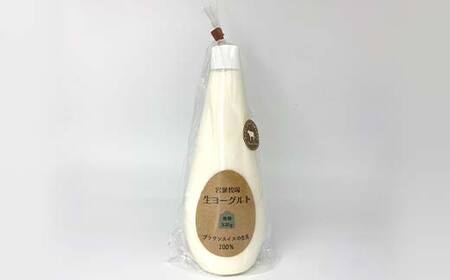 岩瀬牧場ちょっぴり贅沢な「生ヨーグルト」4本（無糖） ヨーグルト 生乳100％ ブラウンスイス 無糖 岩瀬牧場 ふるさと納税 福島県 鏡石町 F6Q-285