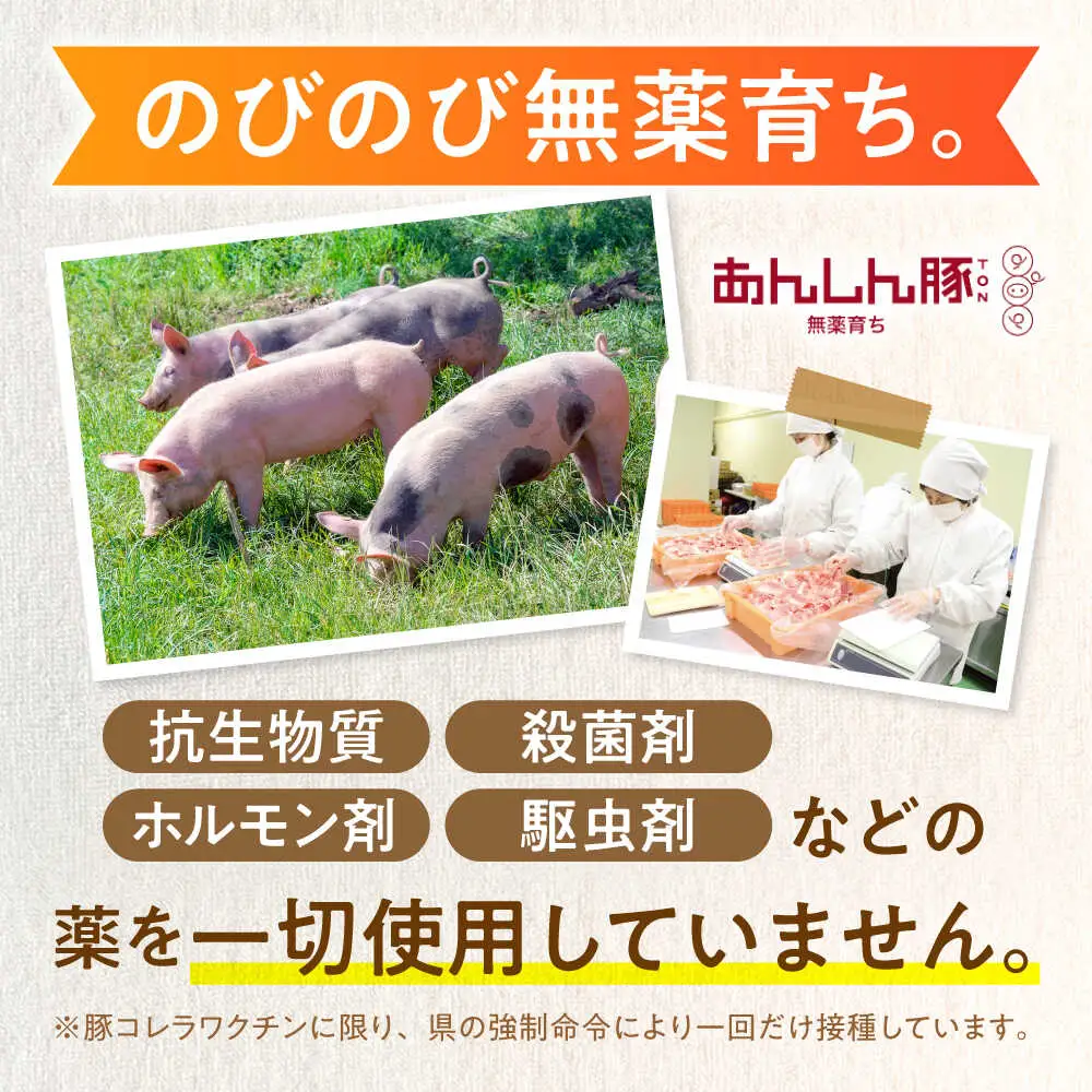 豚肉しゃぶしゃぶセット約1.2kg 藤井ファーム [AWAF001]豚ロース
