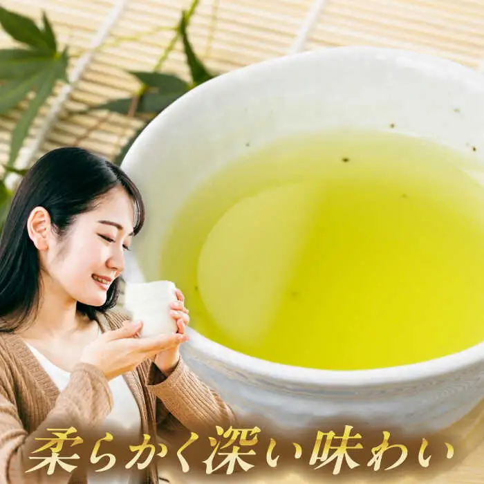 美濃白川茶 煎茶セット 100g×3袋 お茶 おちゃ お茶葉 茶葉 緑茶 煎茶 白川茶 飲み比べ 白川町 / 白川町農業開発[AWAH009]