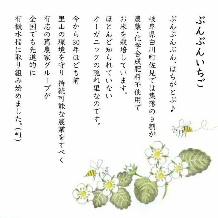 【期間限定】完熟ぶんぶんいちご 約230g×2パック 紅ほっぺ いちご イチゴ 苺 フルーツ 果物 くだもの ポリネーション 日本ミツバチ 苺 白川町 / 千空農園[AWAR002]