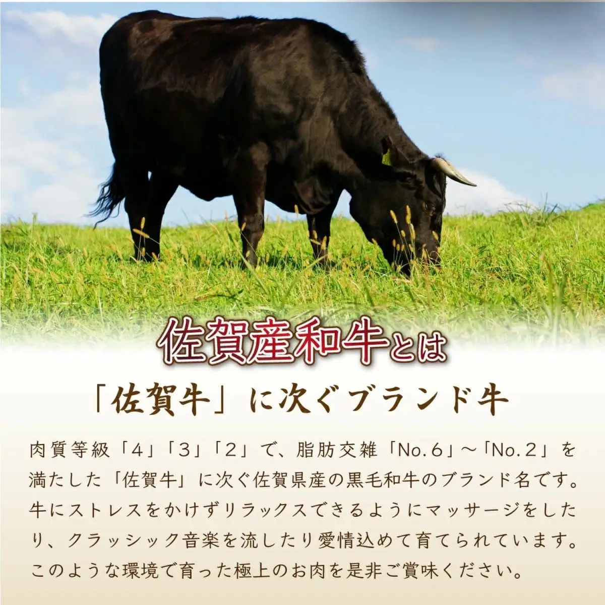 【佐賀産和牛】モモブロック（タタキ・ローストビーフ・焼肉等）600g B-1062