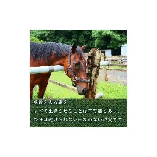 【 支援 】 支援引退馬2千円