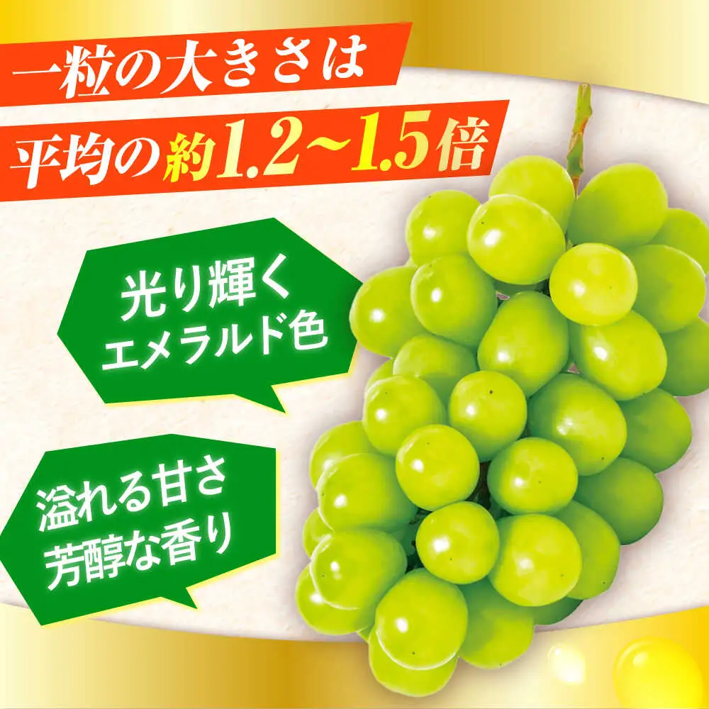シャインマスカット 2房(計1.2〜1.4kg)[AREW005]