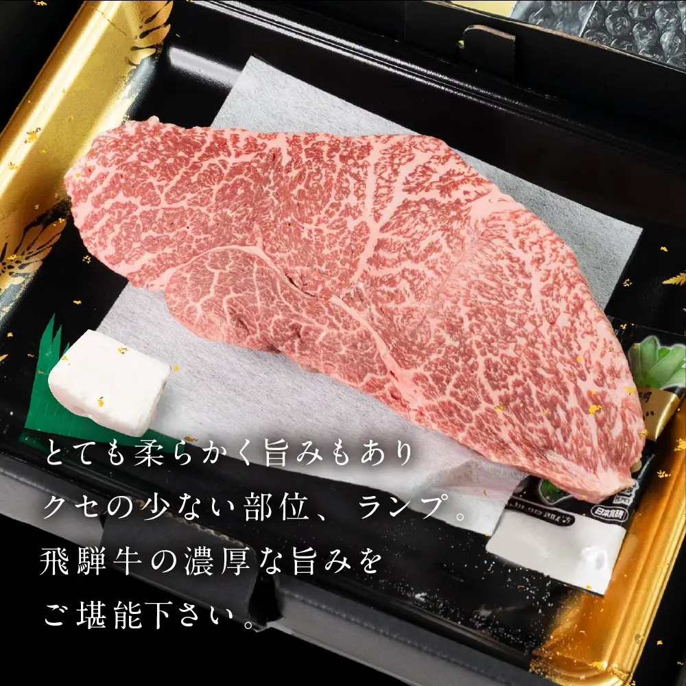 飛騨牛 ランプブロック 500g 【22-39】