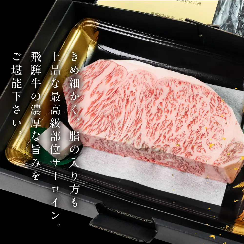 飛飛騨牛 サーロインブロック 500g 【22-42】