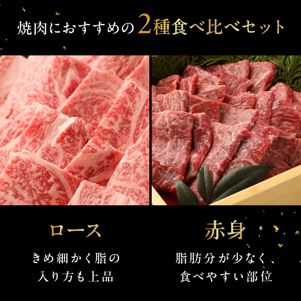 飛騨牛ロース・赤身焼肉セット（ロース200g・赤身300g）計 500g【22-44】