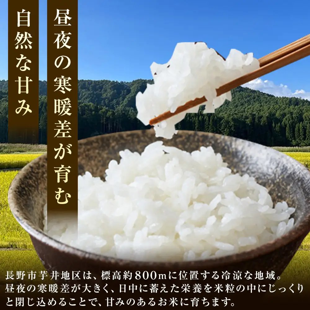【令和8年産】信州長野市芋井産　あきたこまち　10Kg（5kg×2袋） | 米 あきたこまち 信州産 精米