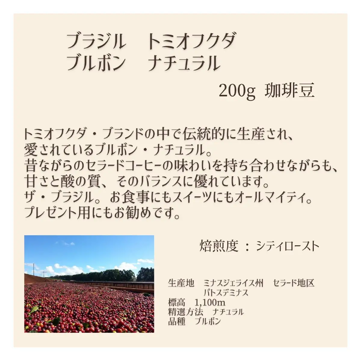 【上田珈琲豆焙煎堂】珈琲豆 中深煎り セット 200g×2種 セット ブラジルブルボン・グアテマラSHB【豆】 HNNBM007