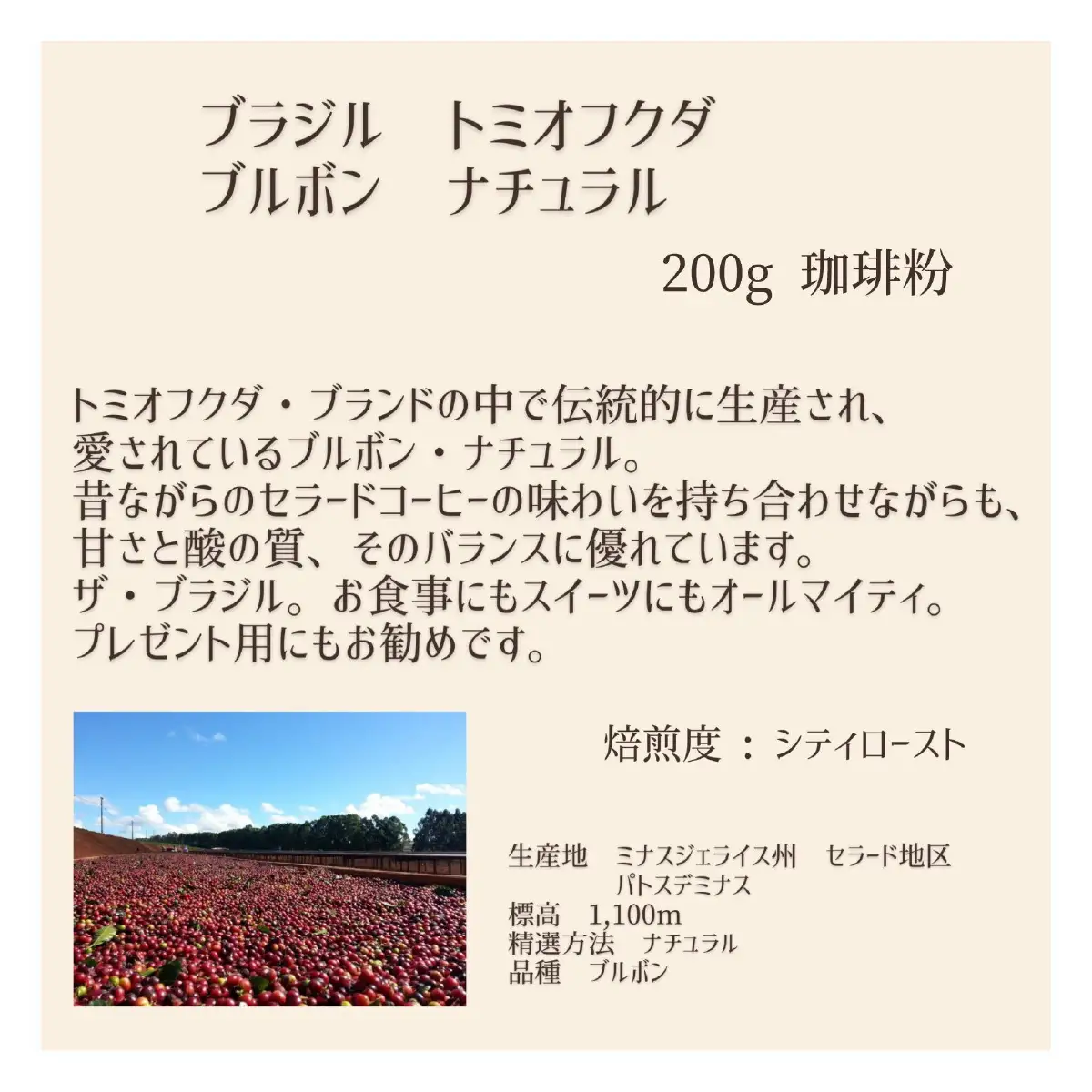 【上田珈琲豆焙煎堂】珈琲豆 中深煎り セット 200g×2種 セット ブラジルブルボン・グアテマラSHB【粉】 HNNBM008