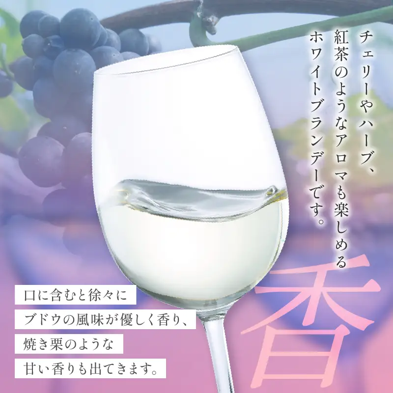 【数量限定】ホワイトブランデーBojo(計1本) 酒 飲料 アルコール 国産_T014-0175