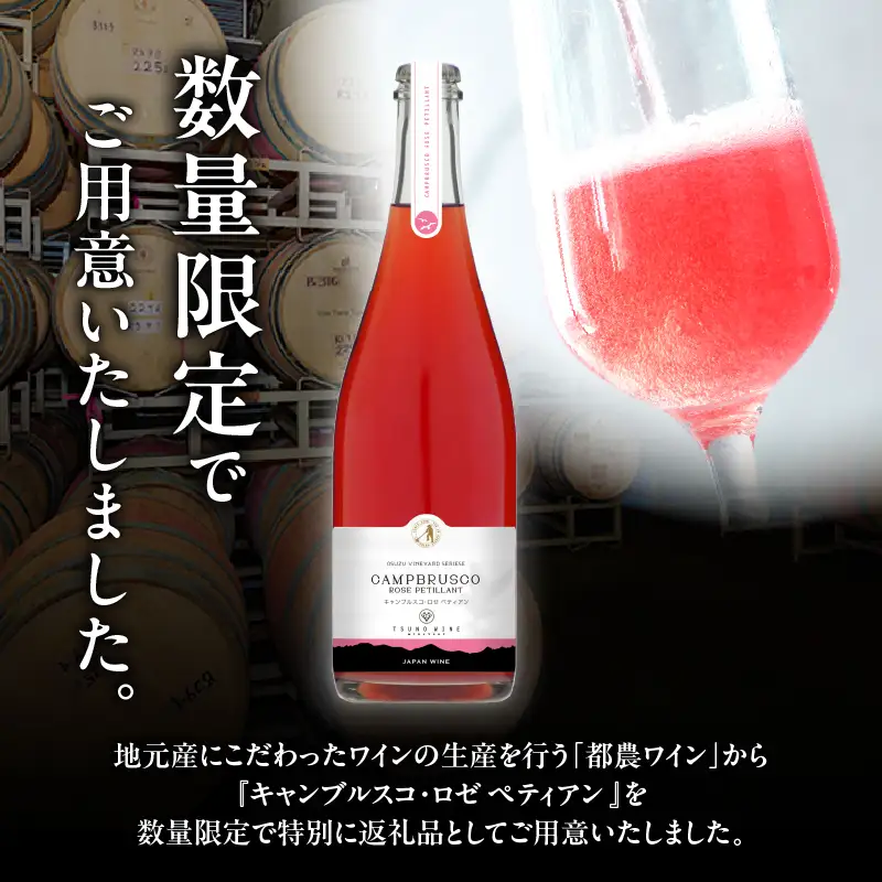 【数量限定】キャンブルスコ・ロゼ ペティアン (計1本) 酒 ワイン アルコール 国産_T014-0195