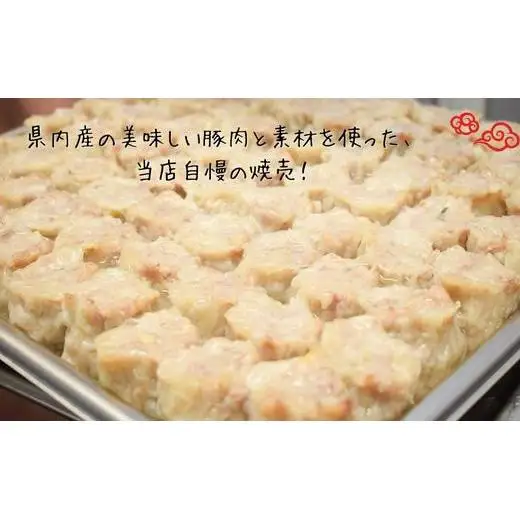 《6回定期便》手作り点心の店　Syun358.　しゅうまい20個（ノーマル10個・おとな10個）食べ比べセット