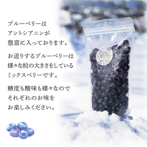 ブルーベリー 500g 大粒 小粒 北海道 ブルーベリー