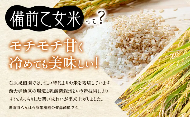 米 令和8年産 石原果樹園の備前乙女米 玄米 10kg×1袋※11月上旬～順次発送予定 米