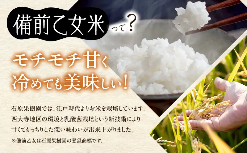 米 令和8年産 石原果樹園の備前乙女米 白米 10kg×1袋※11月上旬～順次発送予定 米