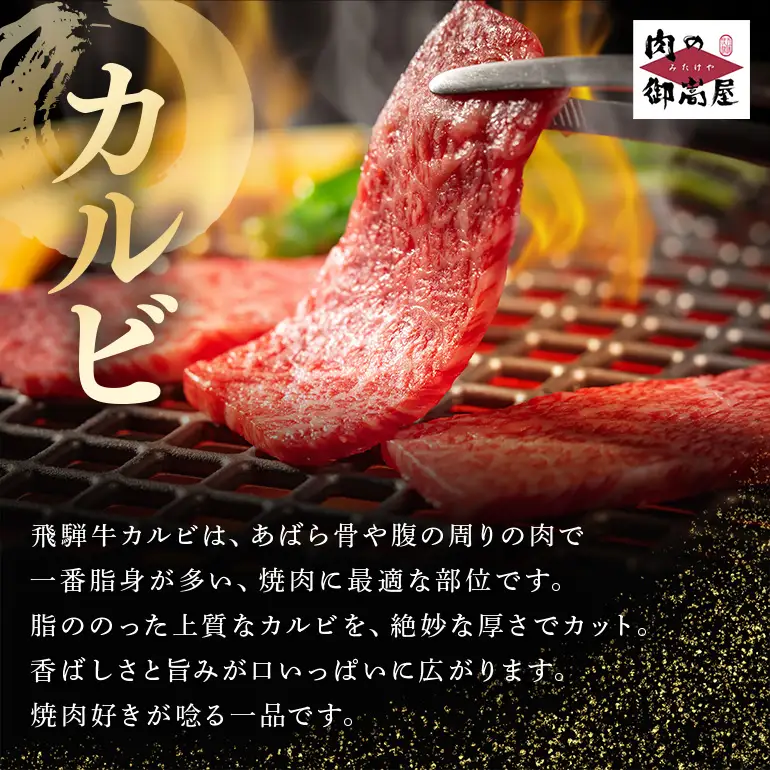 飛騨牛 A5等級【冷蔵配送】カルビー焼肉用【500g】着日指定可 飛騨牛