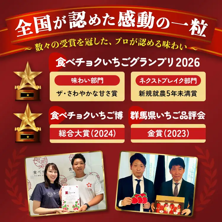 【いちご博総合大賞】やよいひめ 約800g | いちご 苺 イチゴ ストロベリー 冷蔵 甘い 新鮮 完熟 大粒 果物 フルーツ 産地直送 農家直送 国産 人気 おすすめ 高級 ギフト 贈答 プレゼント お祝い 大賞受賞 高評価 群馬県 伊勢崎市 先行受付 先行予約 ※2027年1月～発送