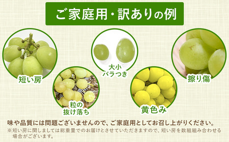シャインマスカット 訳あり 約650g