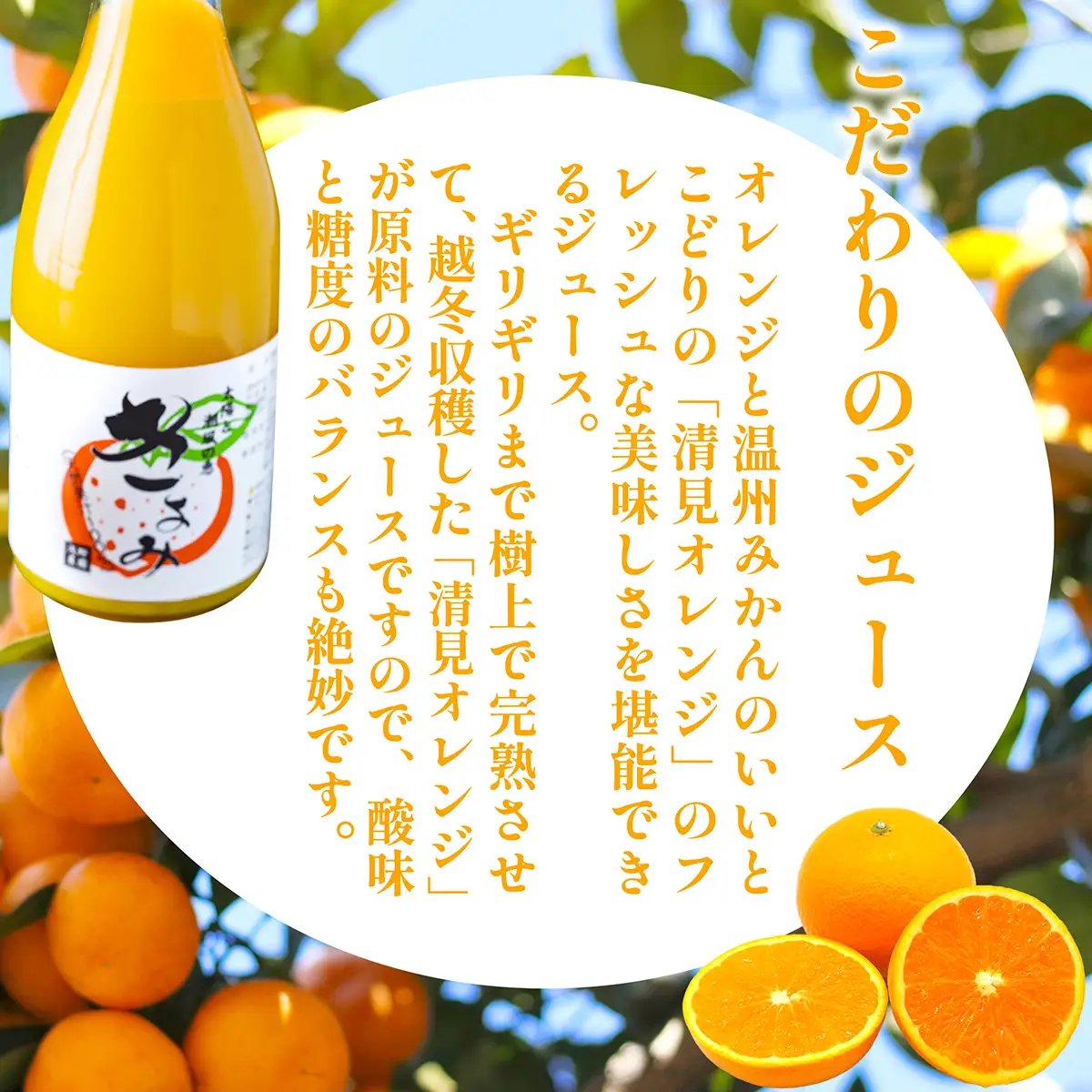 【先行予約】清見オレンジジュース720ml×3本入 ※離島への配送不可（2027年4月中旬より順次発送）IKTAC019