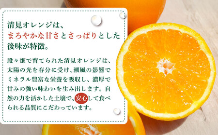 【先行予約】【訳あり】清見オレンジ 約10kg ※離島への配送不可　※2027年3月中旬より順次発送予定 IKTAU011