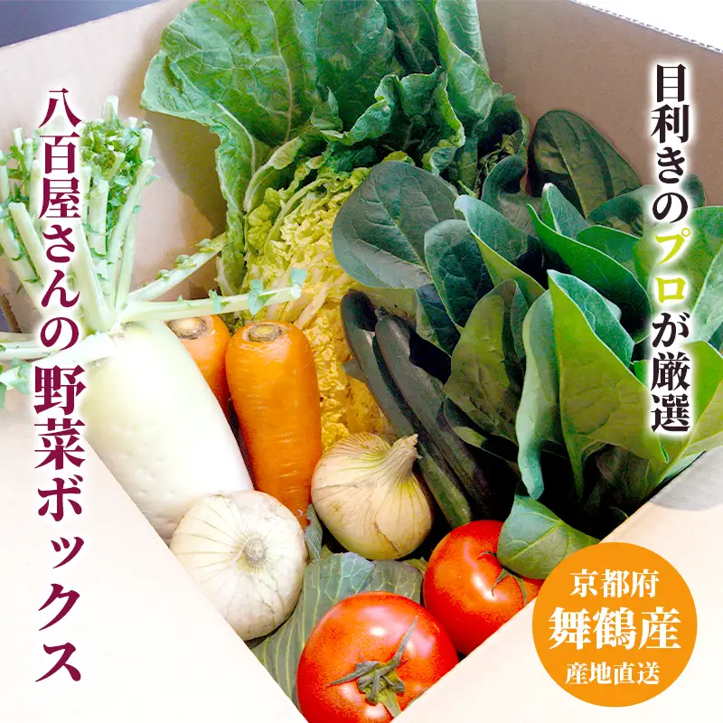 京都 舞鶴 季節の野菜BOX 詰め合せ セット 6～8種類